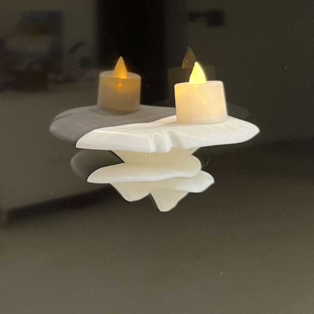 Espositore per Funghi 3D Stamp - Office Furniture For Small Spaces recensione e prezzo