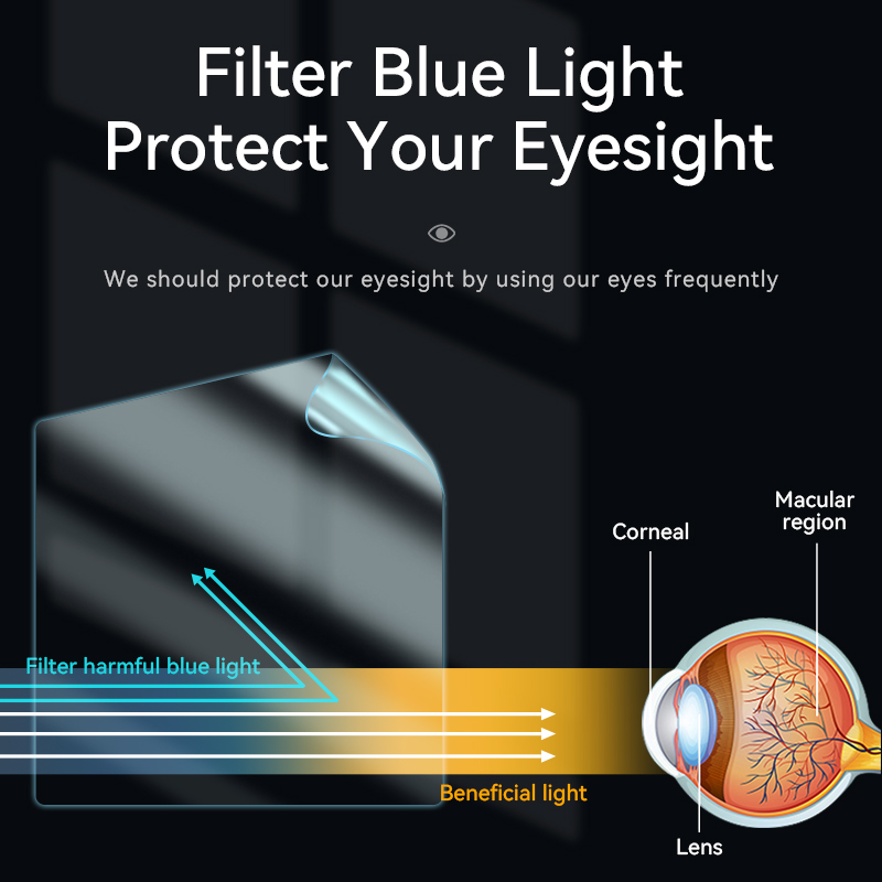 Pellicola protettiva magnetica - Monitor Privacy Filter recensione e prezzo